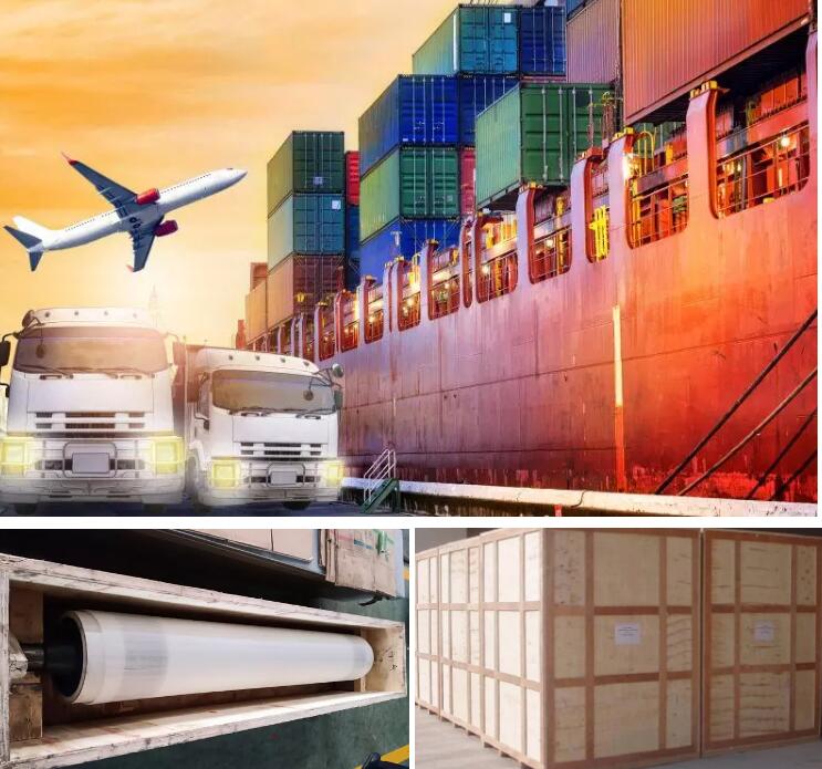 QQ截图20201224080851 QQ截图20201224080851